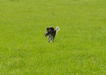 Prüfungen